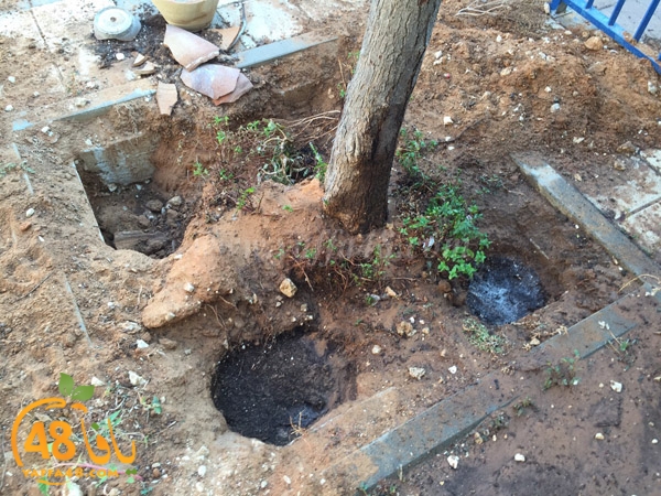 police shamelasj (5).jpg